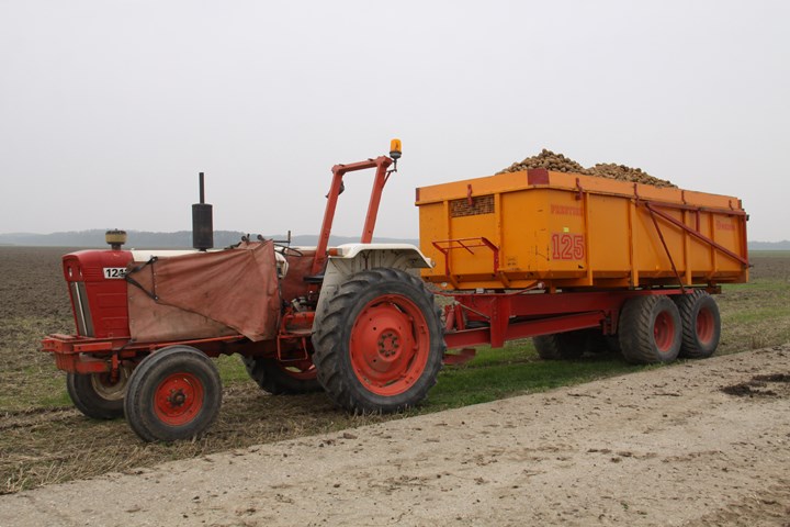 foto